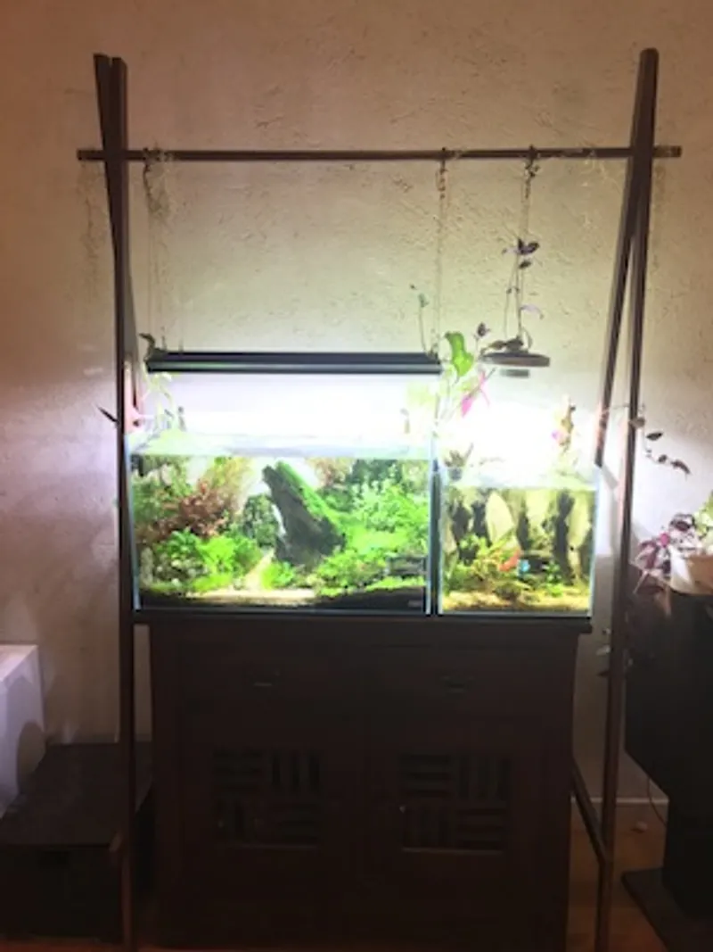 Aquariums gallery image