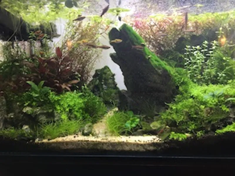 Aquariums gallery image