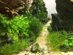 Aquariums gallery image